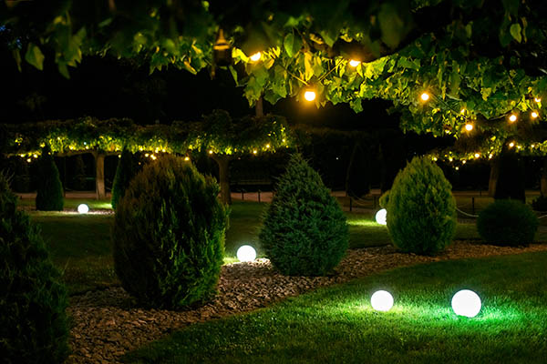illumination backyard light garden with electric ground sphere lantern with stone mulch and thuja bush in outdoor landscaping park with garland of warm light bulbs, dark illuminate night scene nobody.