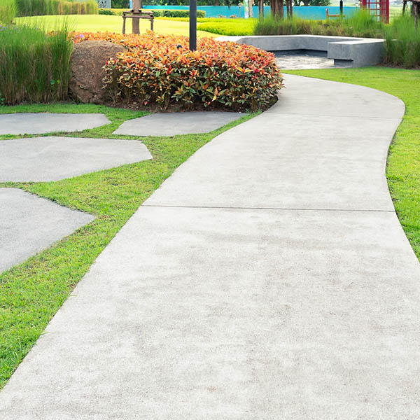 Walkway and bush in garden. Also called concrete pavement, floor, passage, path, footpath, pathway or passageway. Include natural plant, lawn and grass. For walking along and decorative park, garden.