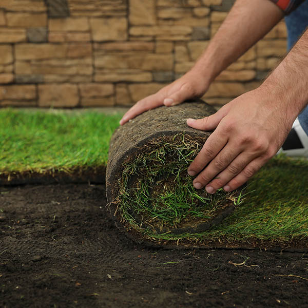 Young man laying grass sod on ground at backyard, closeup. Space for text