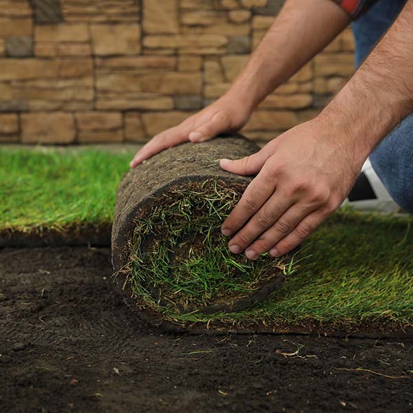 Young man laying grass sod on ground at backyard, closeup. Space for text