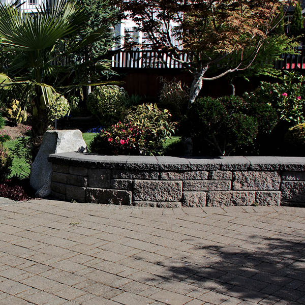 Beautiful elevated paving stone deck with surrounding low retaining wall and mature topiary planting of bushes and trees including palm trees.