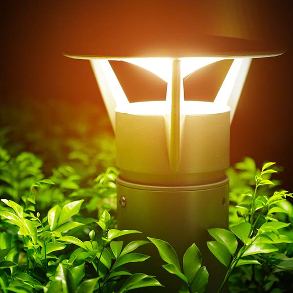 Luminous electric lamp above the bush in a garden in the evening