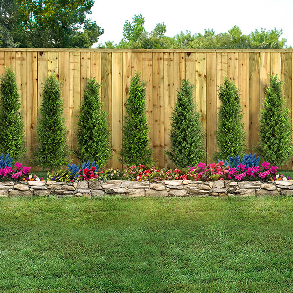 Empty backyard fencing with green grass, trees, flowers and wood fence CARSON CITY, NV