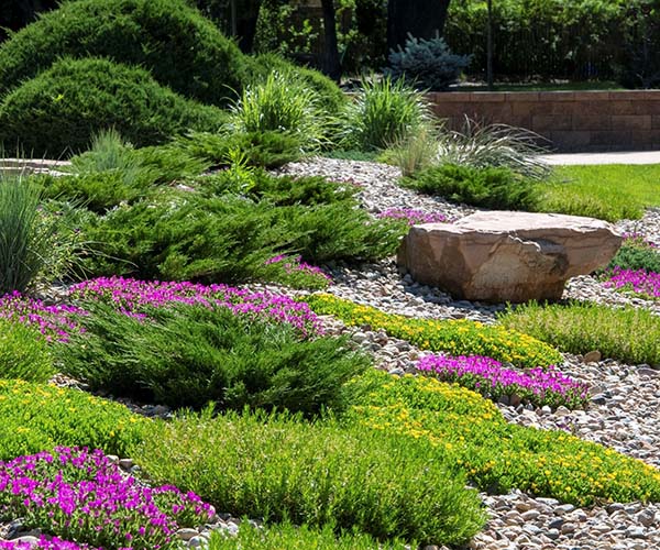 A lush and vibrant garden with an array of assorted plants featuring a central rock