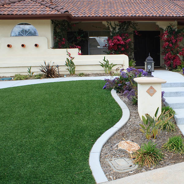 See my other waterwise landscaping here: