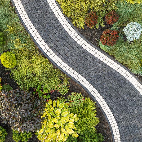A serene garden filled with various plants and shrubs creates a colorful backdrop for a winding pathway.