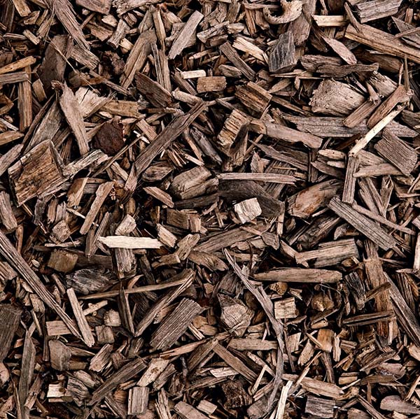 Wood Shavings and Chip Mulch Texture Background, Top View of Brown Wood Waste and Sawdust. High quality photo