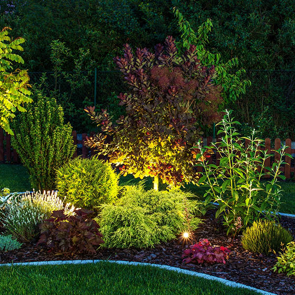 Illuminated Garden by LED Lighting. Backyard Garden at Night Closeup Photo.