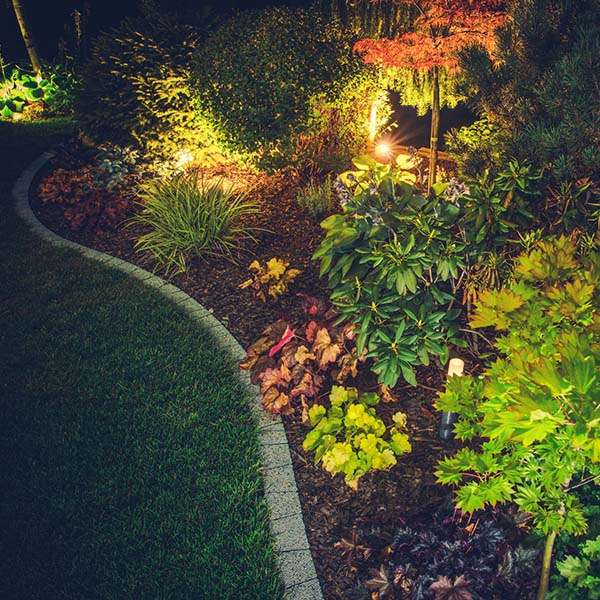 Illuminated Backyard Garden. Night Time Photo. Outdoor Garden Lighting.