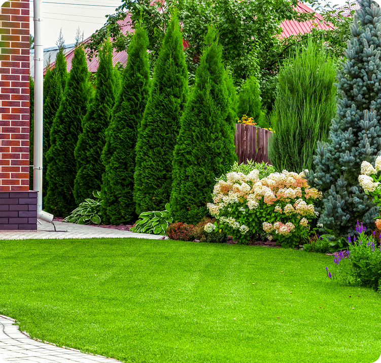 Landscaper Carson City, NV