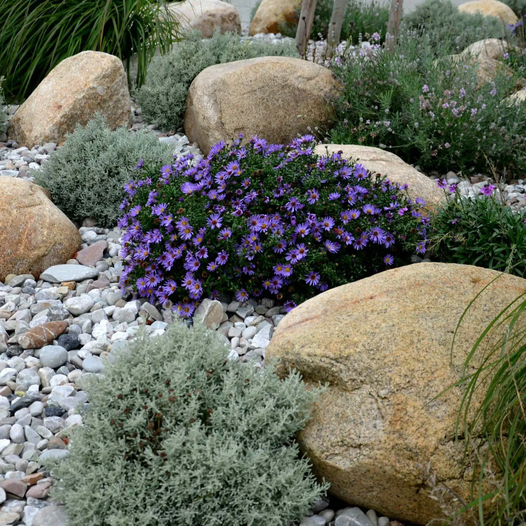 Carson City, NV Landscape Design